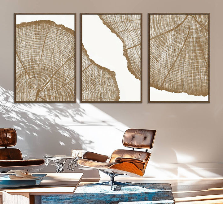 The rustic wall art features two large tree rings, beautifully framed and displayed to create a nature-inspired décor.