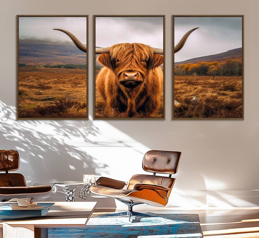 Highland Cow Longhorn Canvas Print, framed, on a wooden wall.