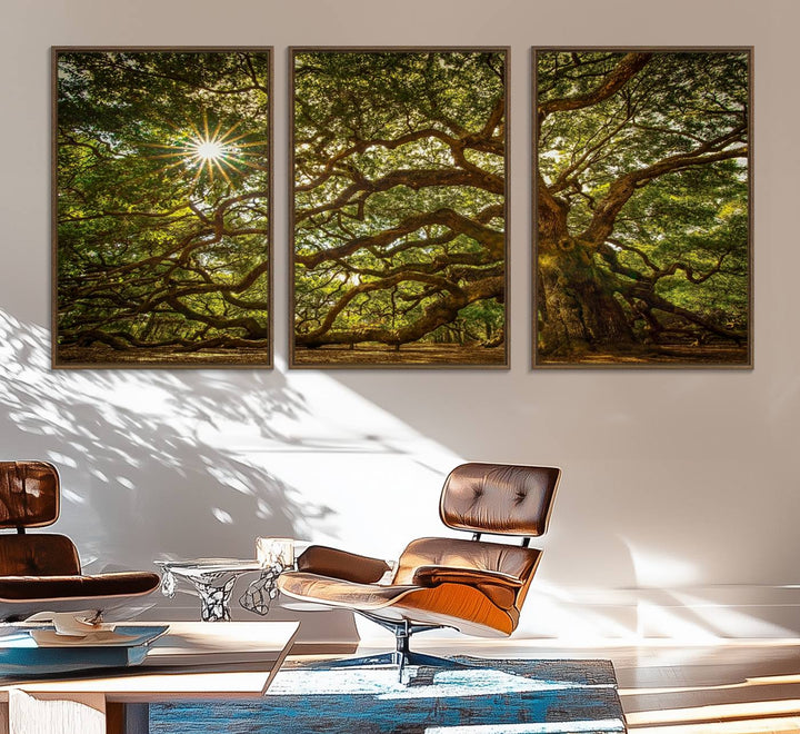 The Ancient Angel Oak Tree Art Sunburst Canvas Print, a framed triptych, serves as wall art.