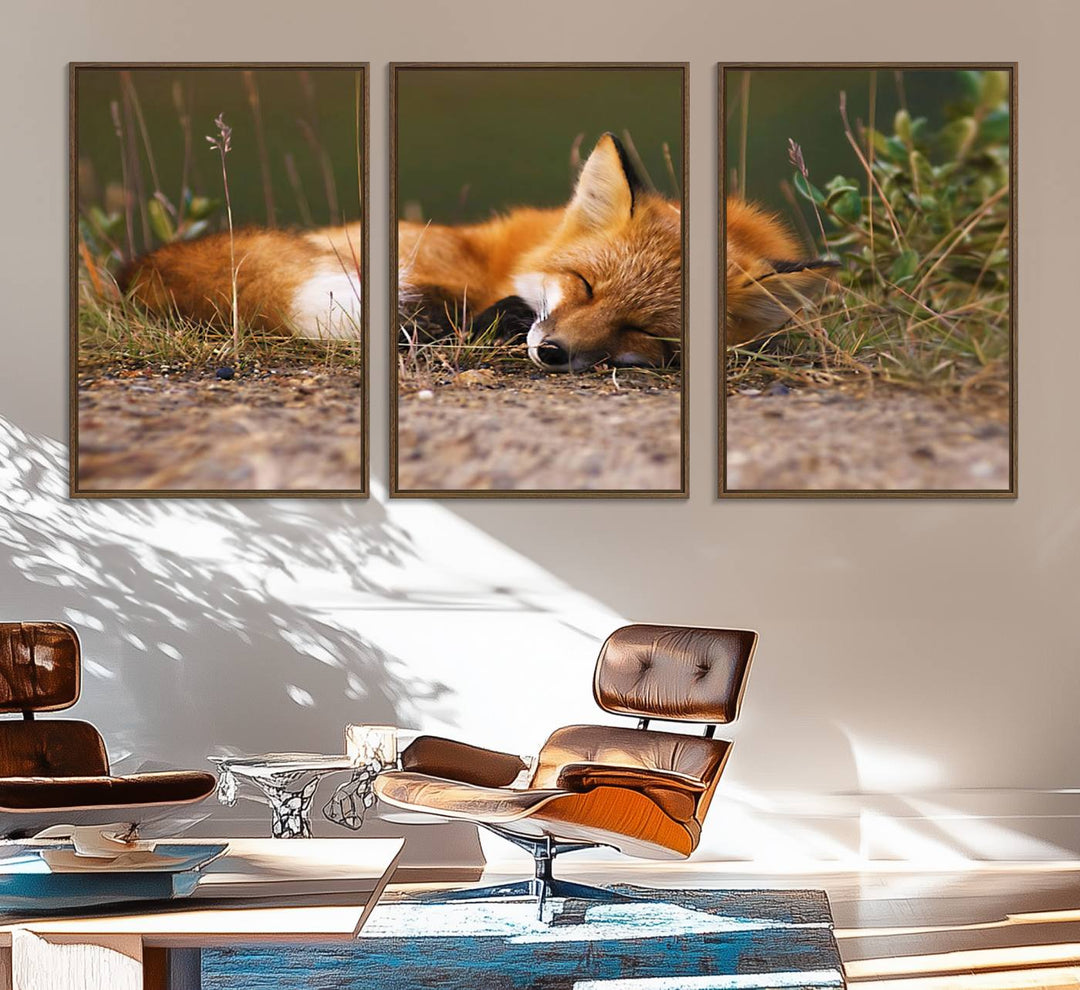 The Sleeping Fox Wall Art Canvas Print is ideal for farmhouse decor.