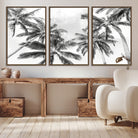 Edit-Images-Black and White Palm Tree Wall Art – Monochrome Tropical Canvas Print for Coastal or Minimalist Living Room Decor