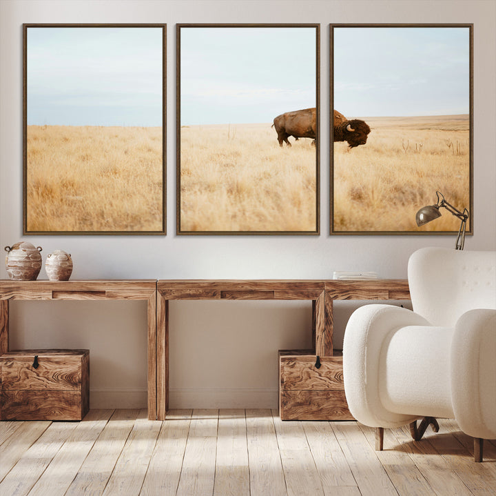 A lone bison standing in a vast golden grassland under a soft blue sky, evoking a rustic and Western aesthetic, ideal for farmhouse decor.