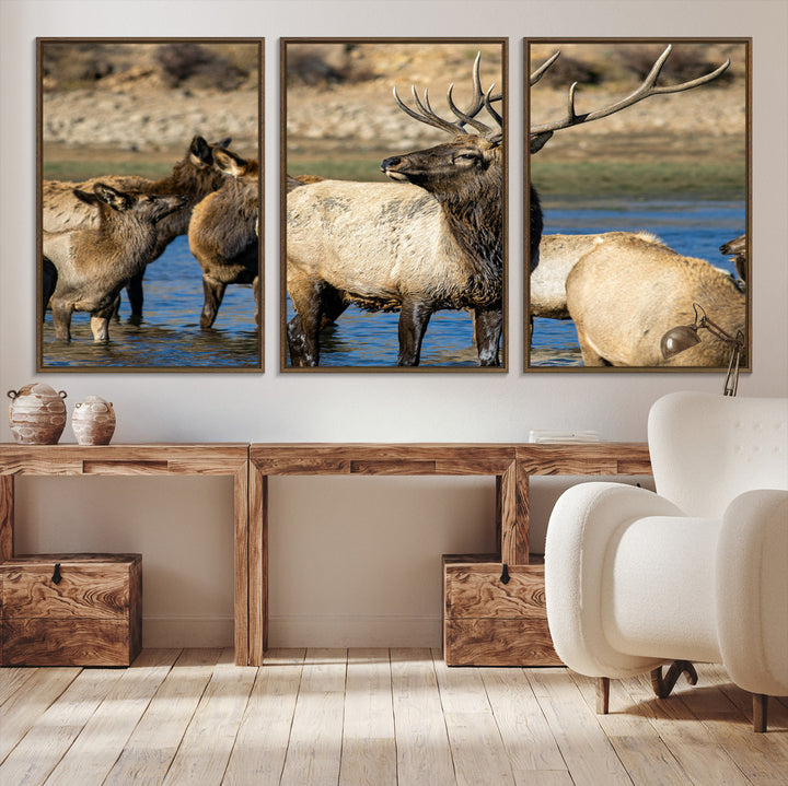 Group of elk standing in shallow water with dry rocky terrain in the background, showcasing wildlife in a natural setting for rustic decor.