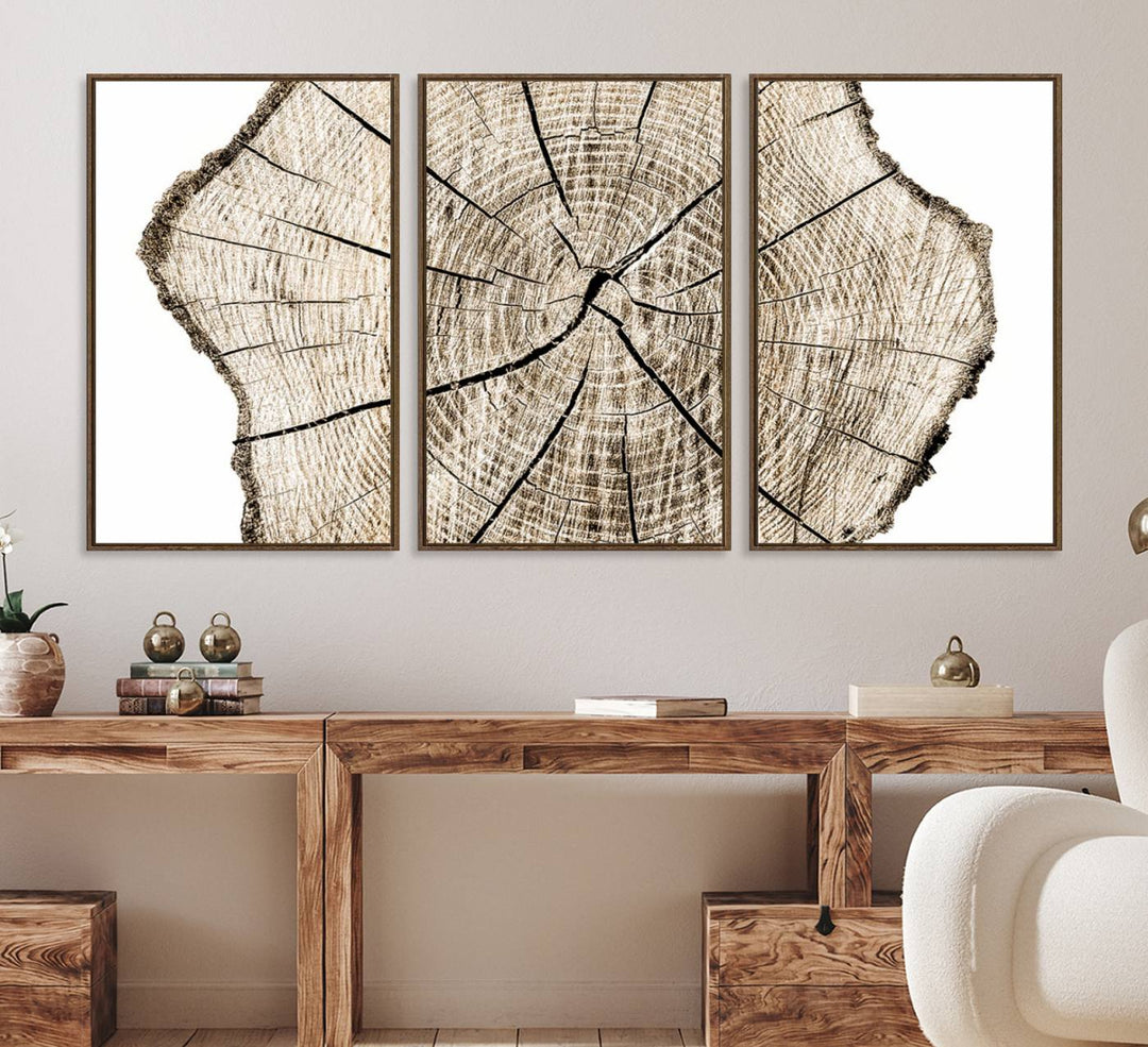 The Abstract Wood Tree Ring Wall Art set of 3 adds a minimalist touch to the space.