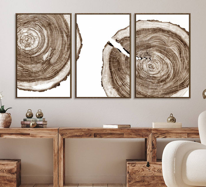 Wood Tree Ring Wall Art on a minimalist black and white canvas.