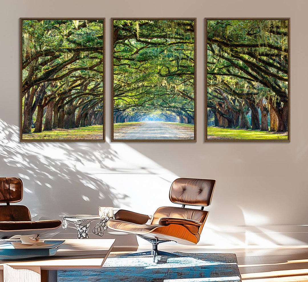 Wormsloe State Plantation Driveway Wall Art shines with Southern charm.