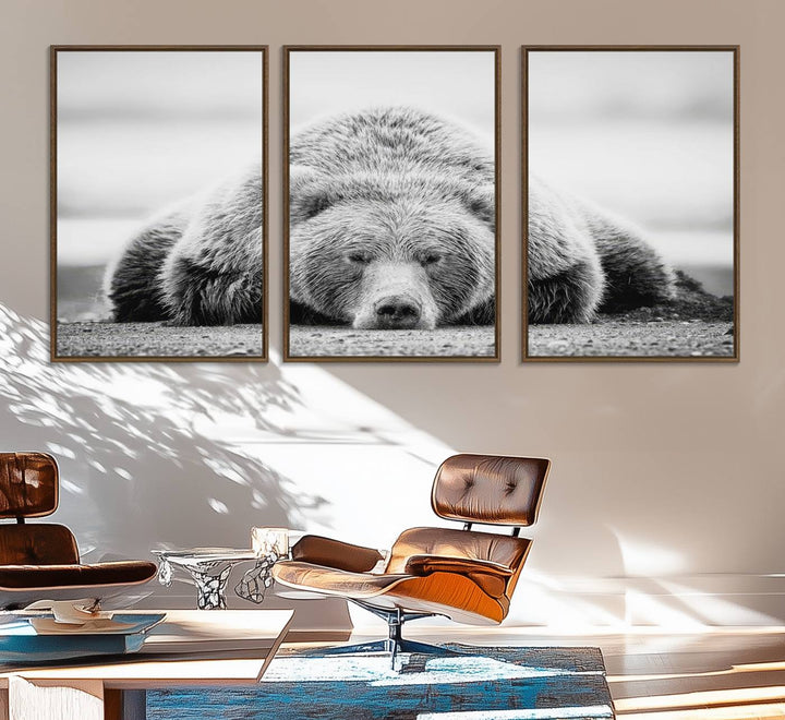 Resting Grizzly Bear wall art displayed in a modern room.