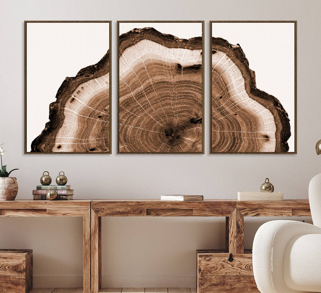 Close-up of the Rustic Wood Rings Wall Art featuring detailed tree rings and natural texture on a plain white background.