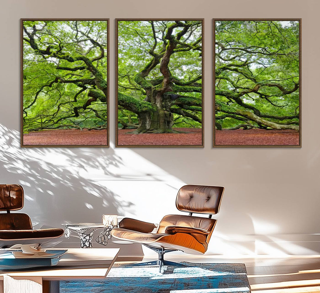 Framed Angel Oak Tree Wall Art: Large 3-panel green nature canvas, ready to hang.