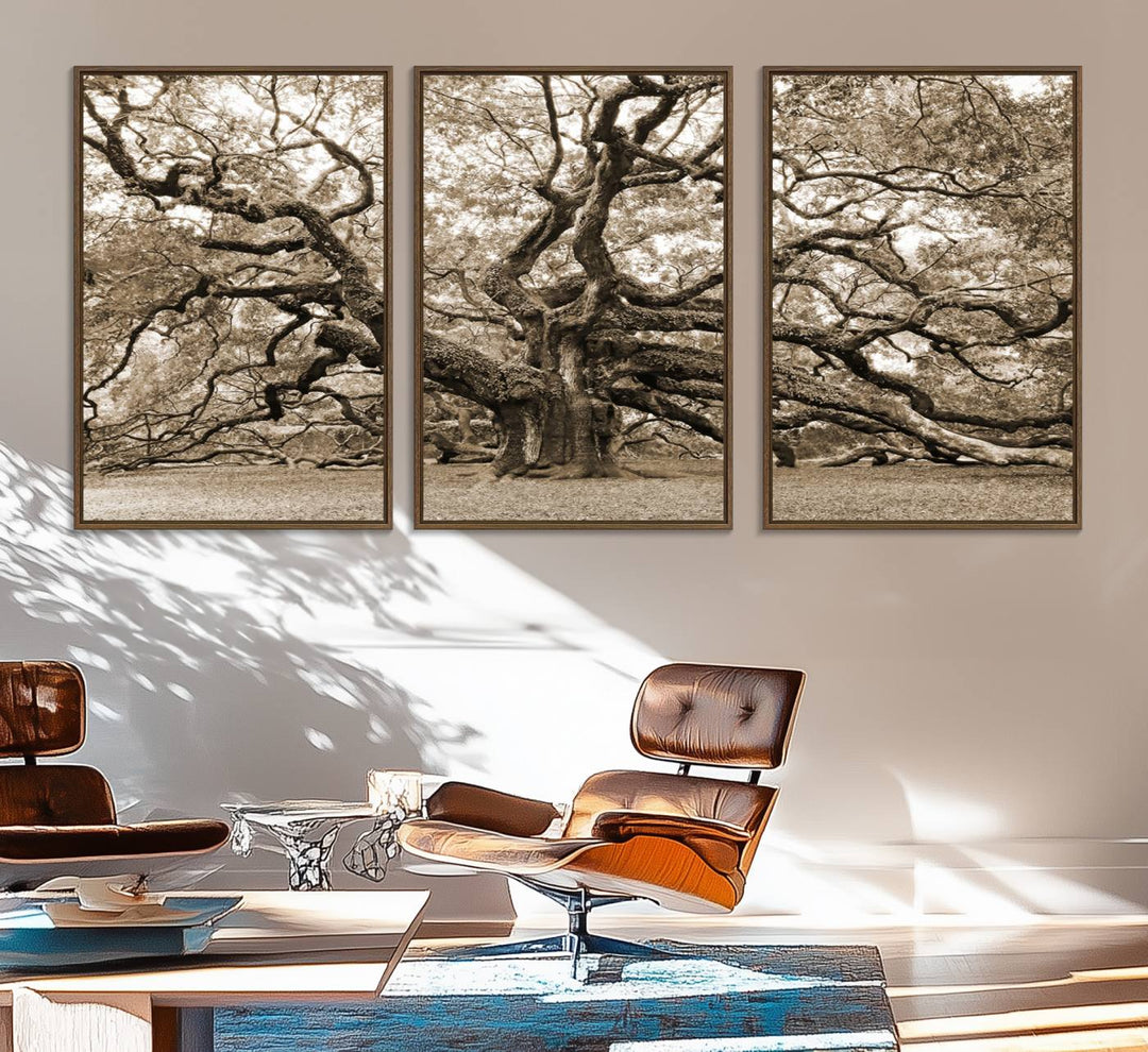 Displayed on the wall is a Sepia-framed Angel Oak Tree 3-panel canvas.