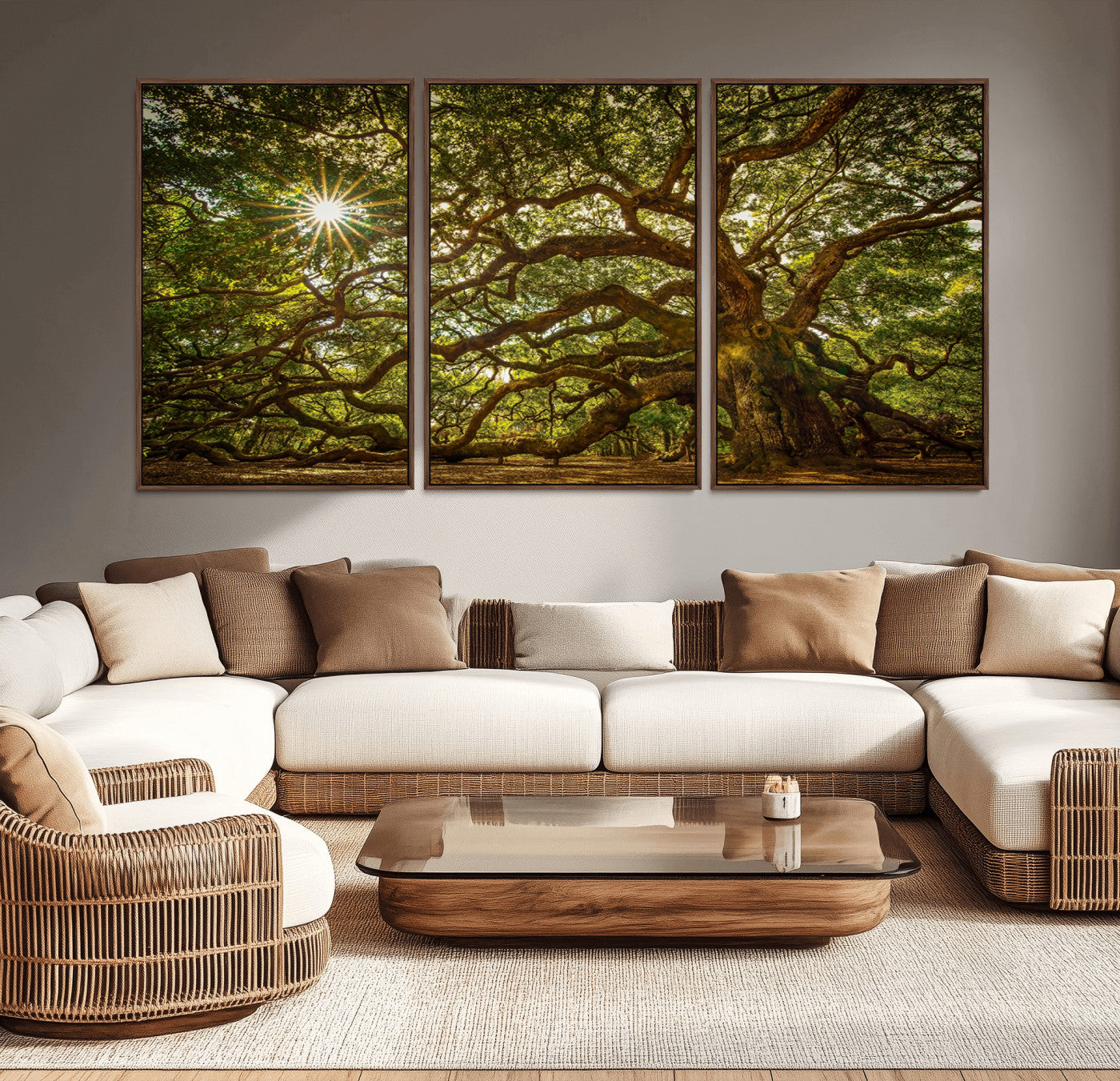 MGV-FC-60X30-3P - Ancient Angel Oak Tree Art Sunburst Canvas Print- Nature-Inspired Triptych Canvas Print, Framed,