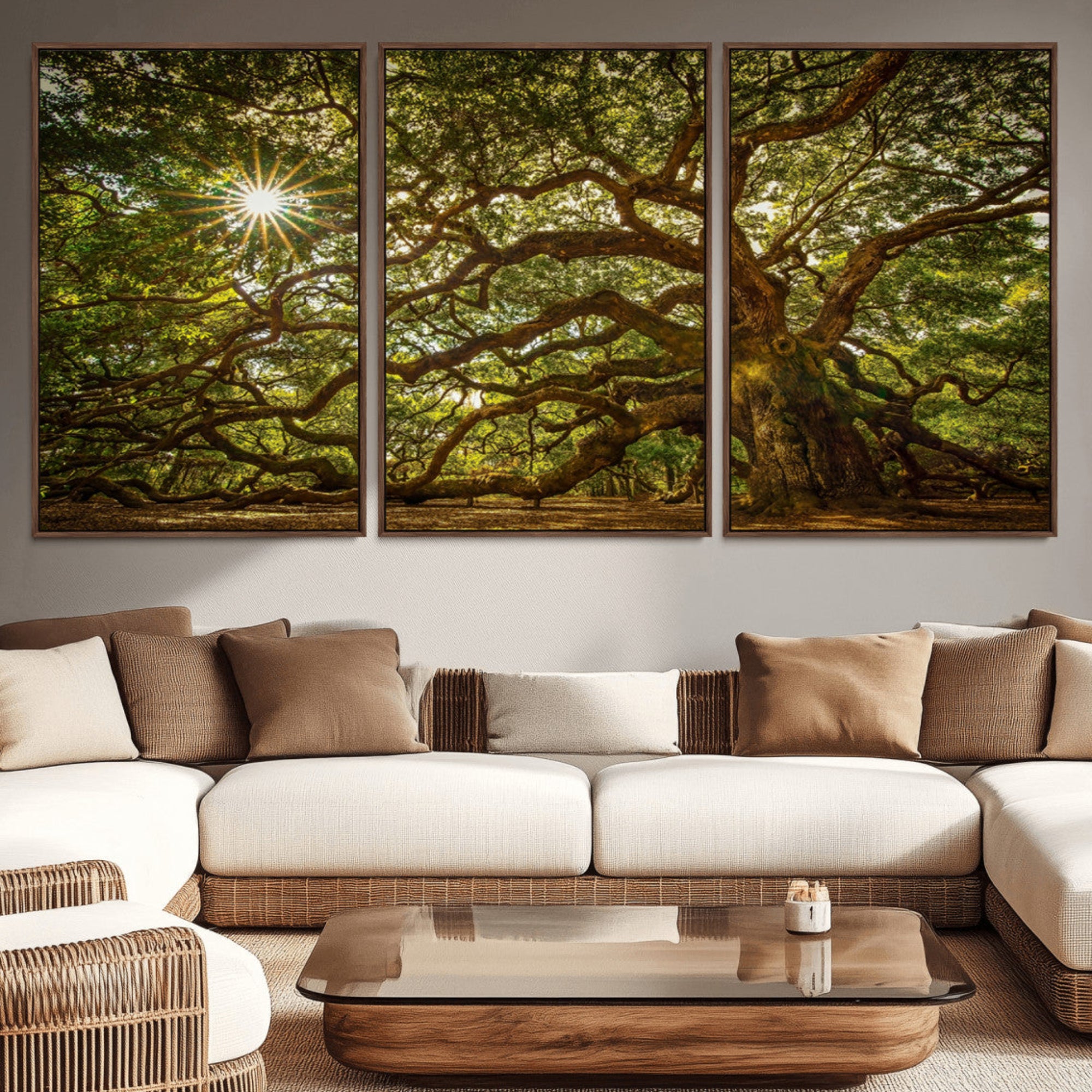 57983-MGV-CV-36X24-Ancient Angel Oak Tree Art Sunburst Canvas Print- Nature-Inspired Triptych Canvas Print, Framed,