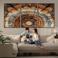 Tree Rings Wall Art Canvas Print, Framed Wood Texture Art Picture Print, Rustic Pattern Perfect Rustic Organic Decor, Tree Rings Artwork