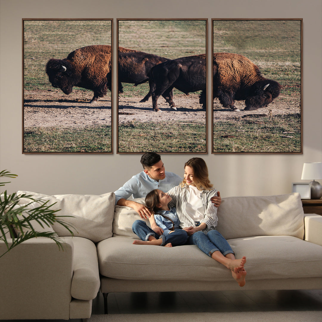 Bison Photography Wall Art Canvas Print, Framed Western Wildlife Art Picture Print, Modern Ranch Perfect Western Rustic Decor Artwork