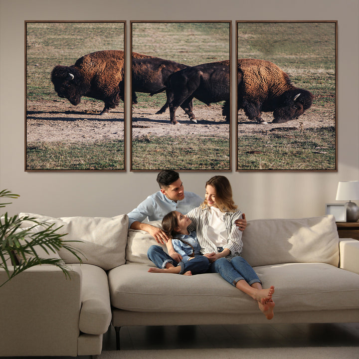 Bison Photography Wall Art Canvas Print, Framed Western Wildlife Art Picture Print, Modern Ranch Perfect Western Rustic Decor Artwork
