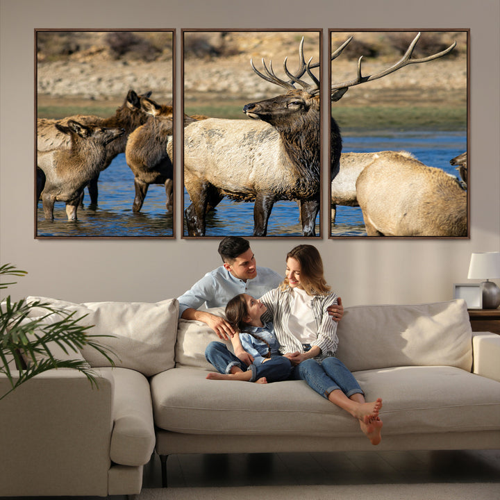 Group of elk standing in shallow water with dry rocky terrain in the background, showcasing wildlife in a natural setting for rustic decor.