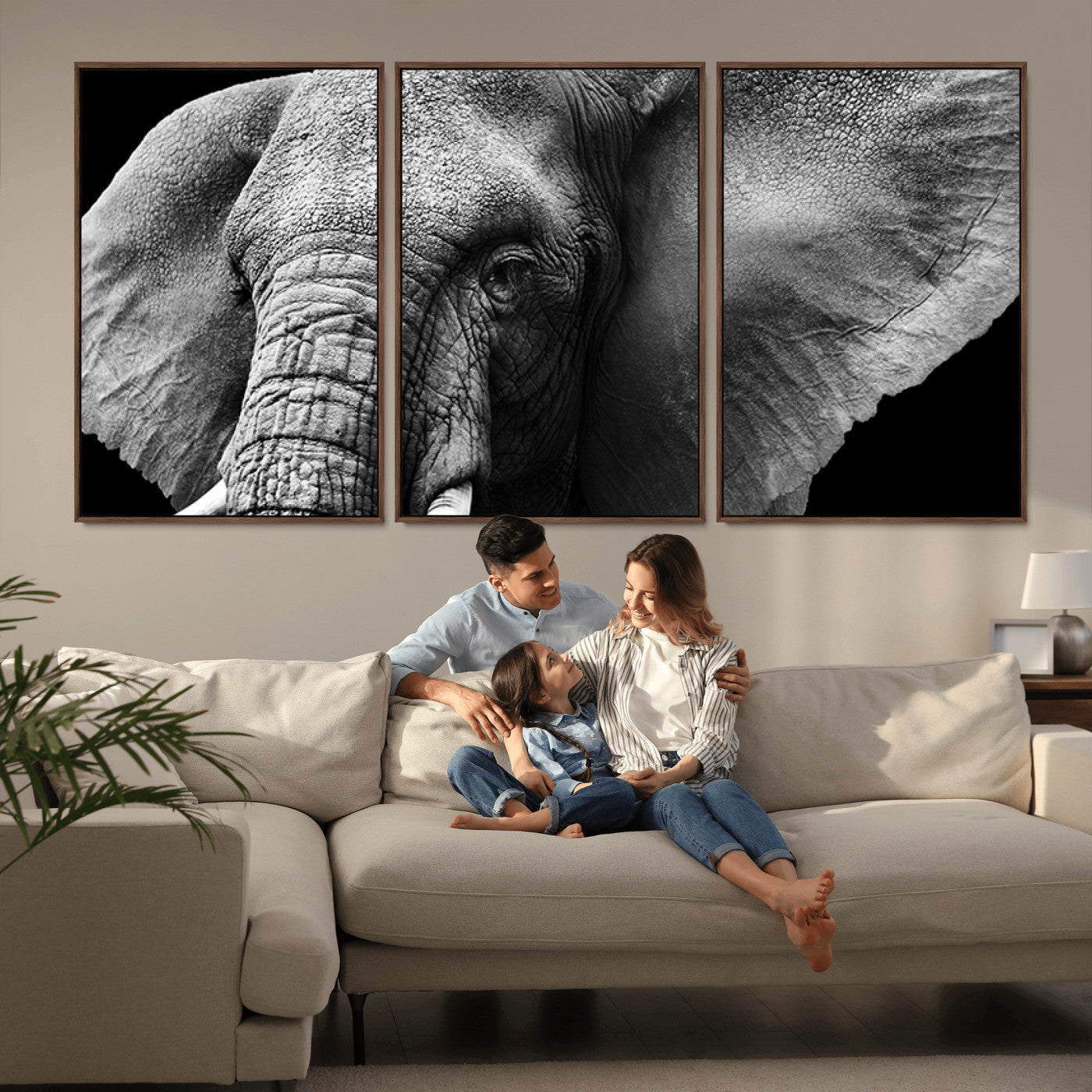MGV-FC-60X30-3P - Big Elephant Close Up Wall Art Canvas Print