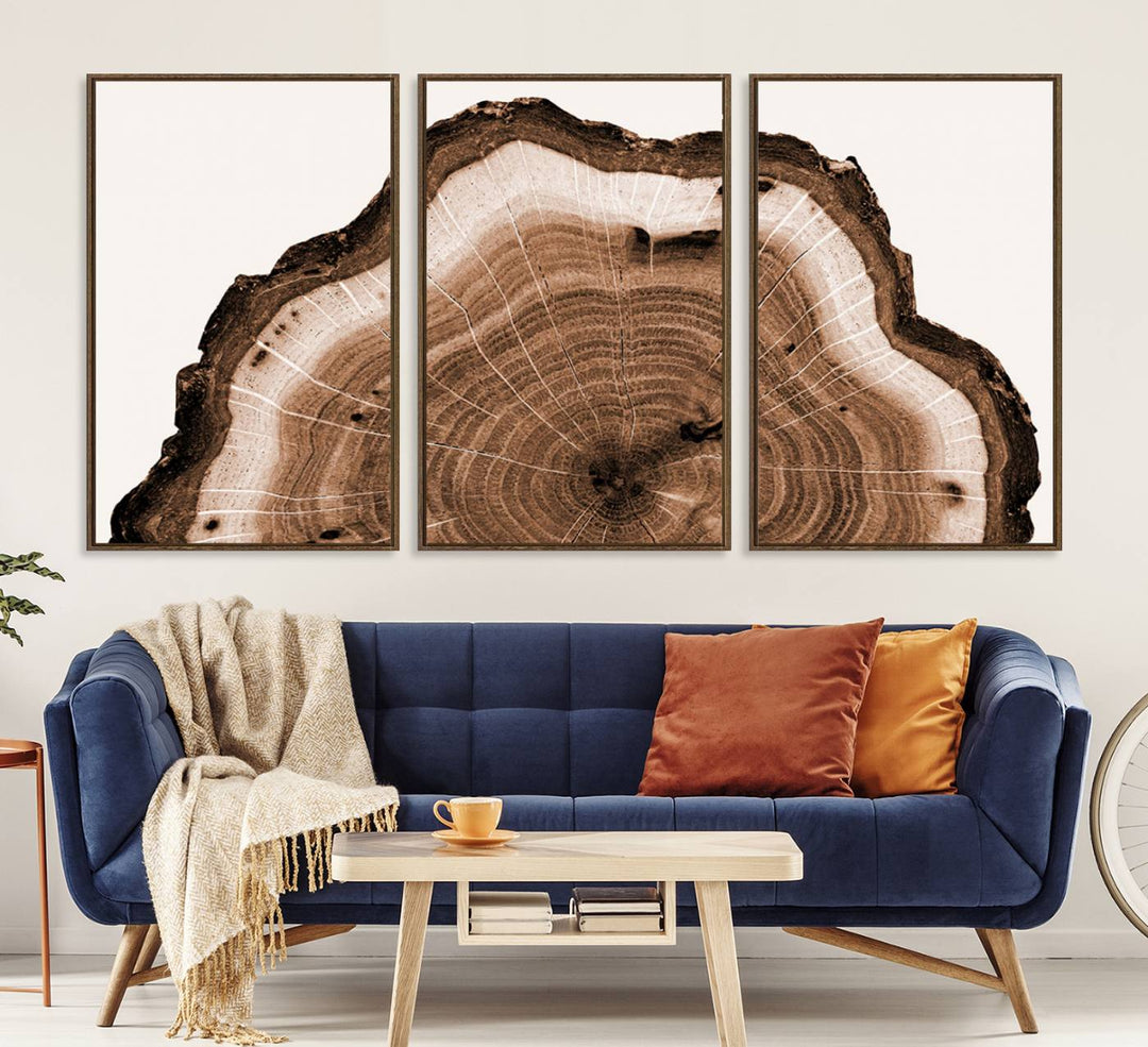 Close-up of the Rustic Wood Rings Wall Art featuring detailed tree rings and natural texture on a plain white background.