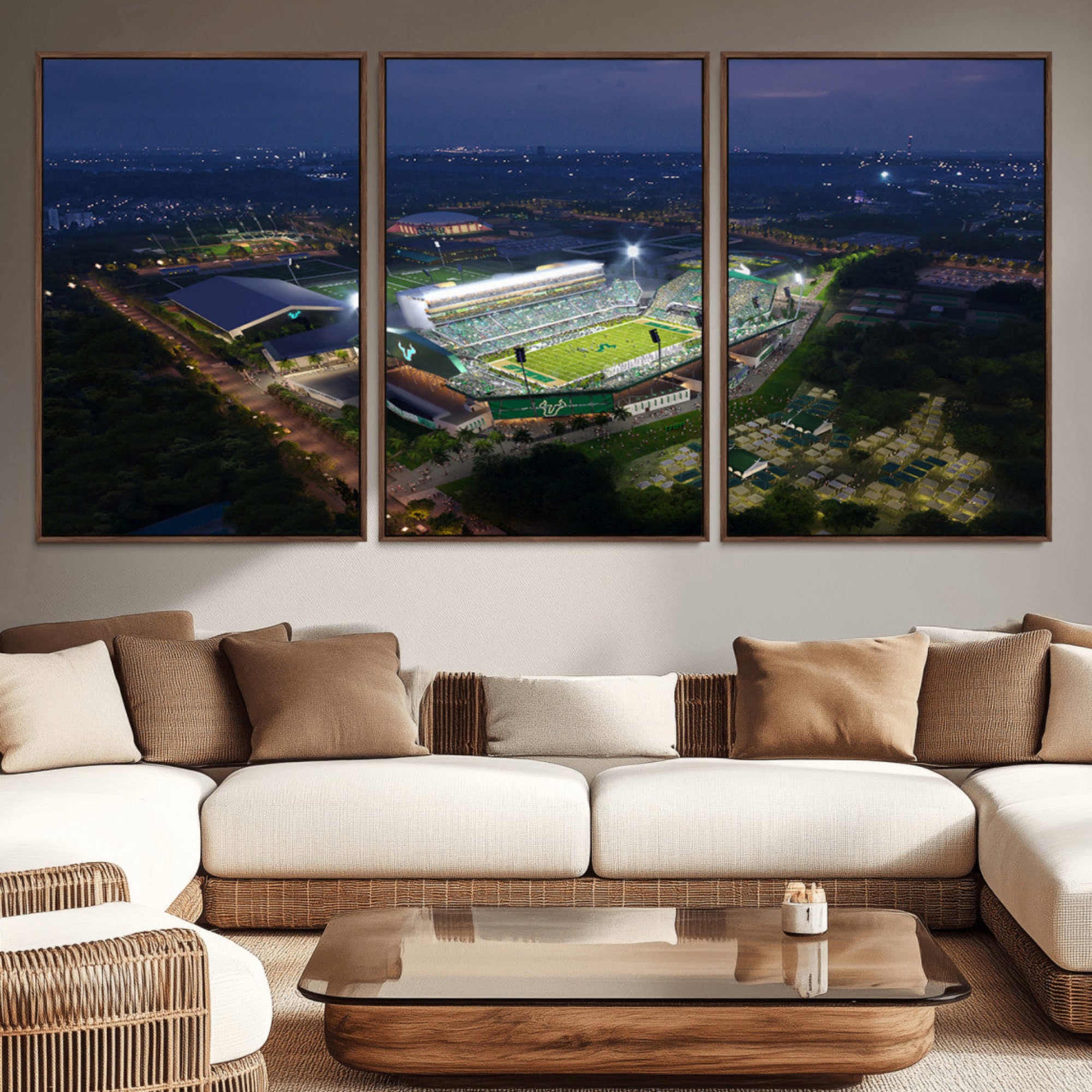 27554-MGV-CV-36X24-The University of South Florida Bulls Football Team Print - Tampa USF Football Stadium Wall Art