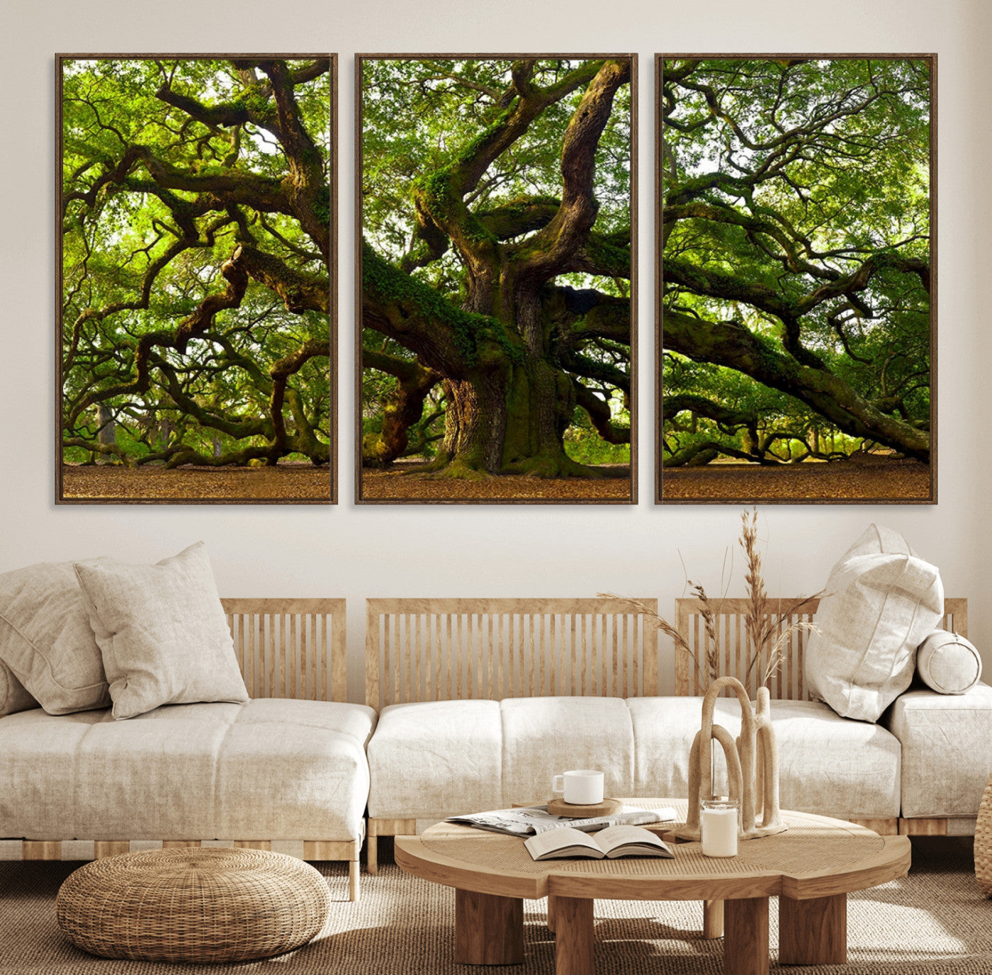MGV-FC-60X30-3P - Angel Oak Tree Wall Art Canvas Print | Forest Tree Nature Photography Print on Canvas | Large