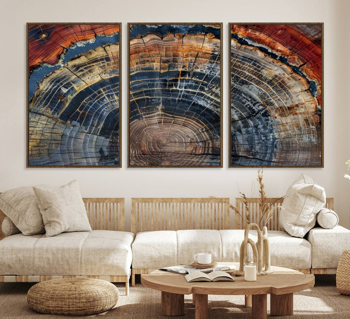 Abstract Tree Ring Wall Art, Colorful Framed Tree Ring Wall Decor, Minimalist Home Canvas Art, Modern Farmhouse Decor
