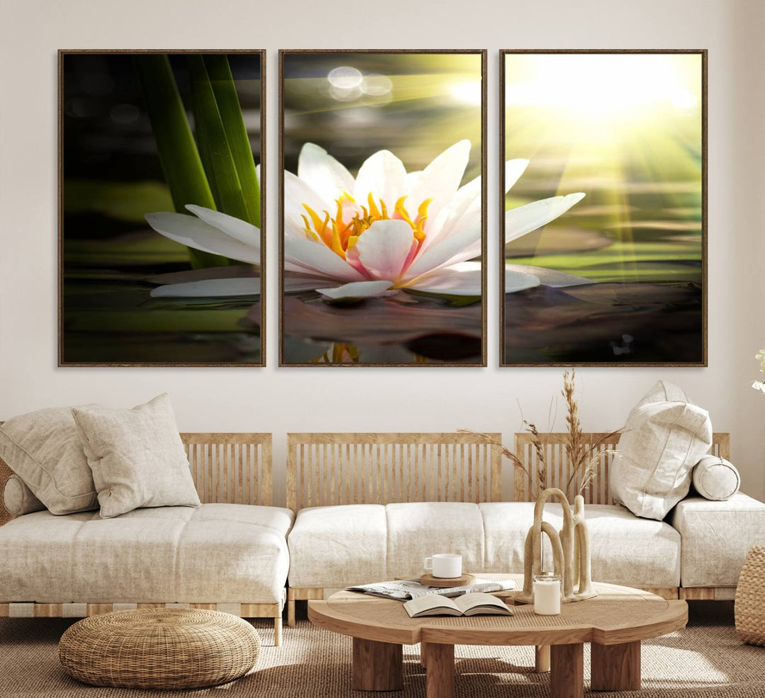 The Lotus Flower Wall Art Canvas Print showcases a white water lily with a yellow center floating gracefully in sunlight.