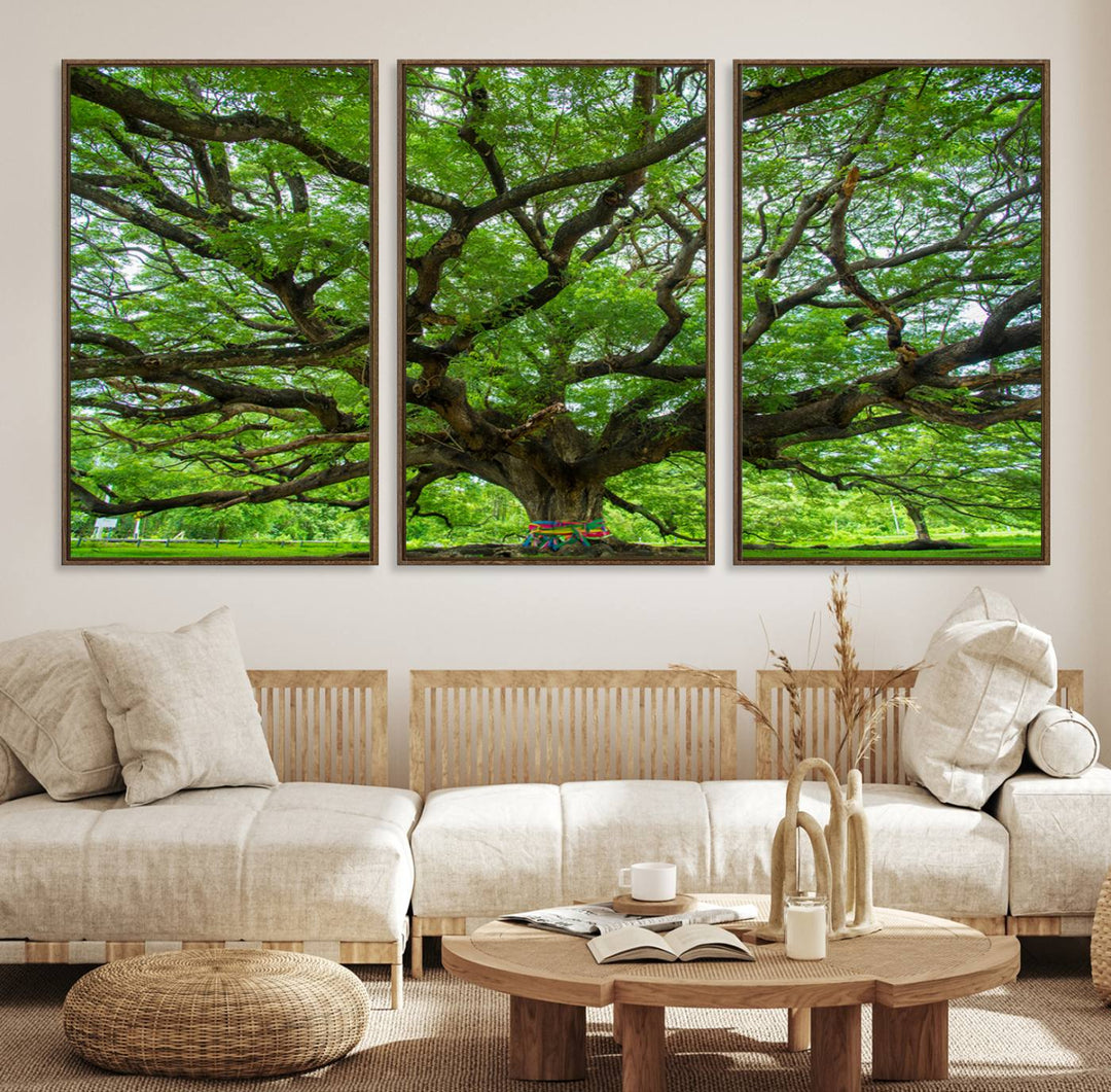 Framed Angel Oak Tree print featuring sprawling branches and ribbons against a clear sky backdrop, ideal for home or office decor.