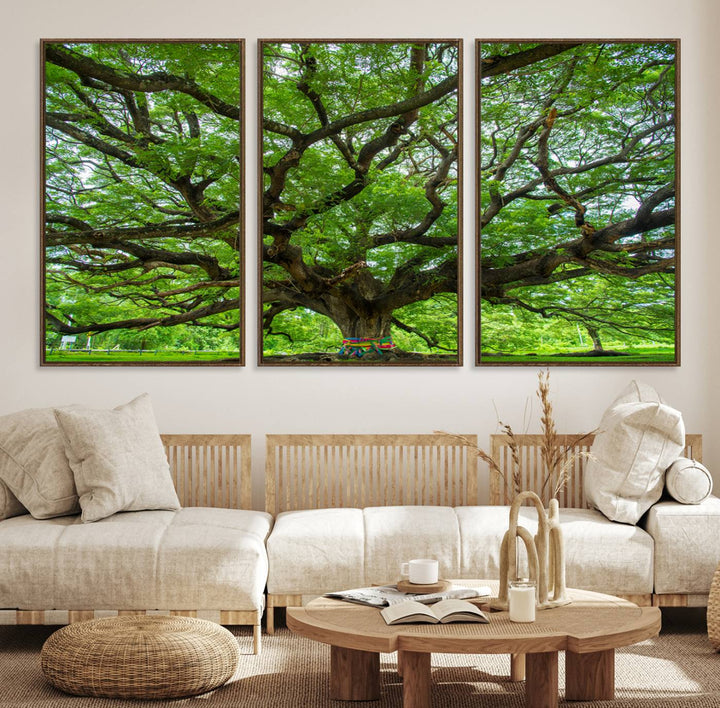 Framed Angel Oak Tree print featuring sprawling branches and ribbons against a clear sky backdrop, ideal for home or office decor.