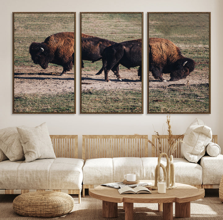 Bison Photography Wall Art Canvas Print, Framed Western Wildlife Art Picture Print, Modern Ranch Perfect Western Rustic Decor Artwork