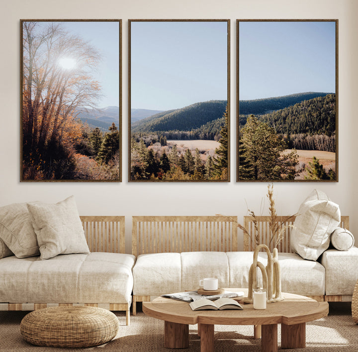 A scenic mountain valley with pine trees and autumn foliage under a clear sky, bathed in golden sunlight, creating a peaceful and rustic landscape.