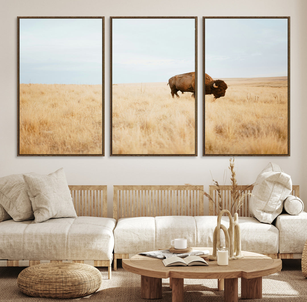 A lone bison standing in a vast golden grassland under a soft blue sky, evoking a rustic and Western aesthetic, ideal for farmhouse decor.