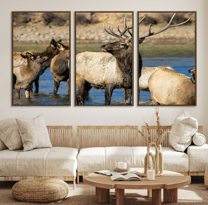 Group of elk standing in shallow water with dry rocky terrain in the background, showcasing wildlife in a natural setting for rustic decor.