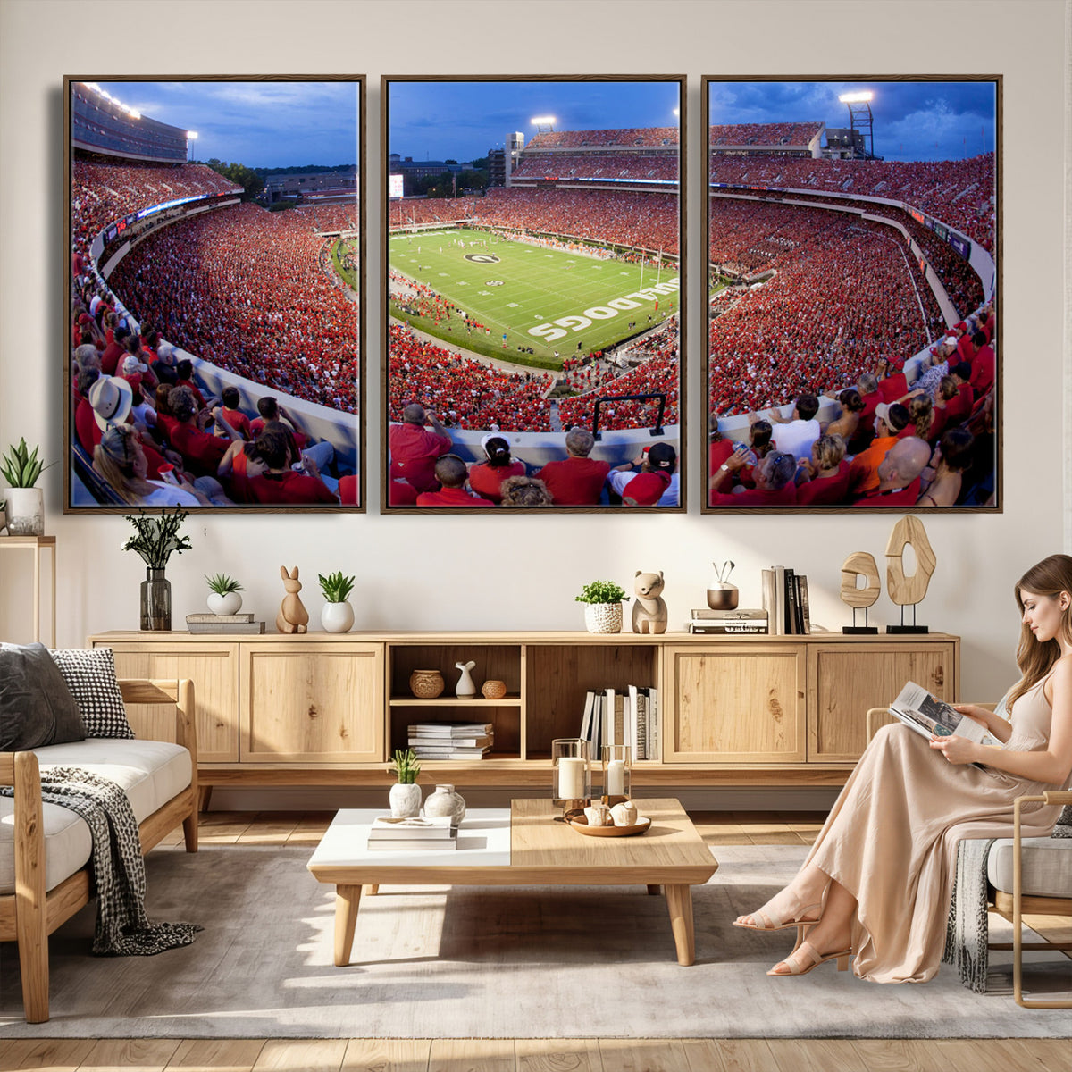 10244378-MGV-CV-36X24 - Dooley Stadium Wall Art, Sports Arena Canvas Print, Dooley Field, Home Bar Wall Decor