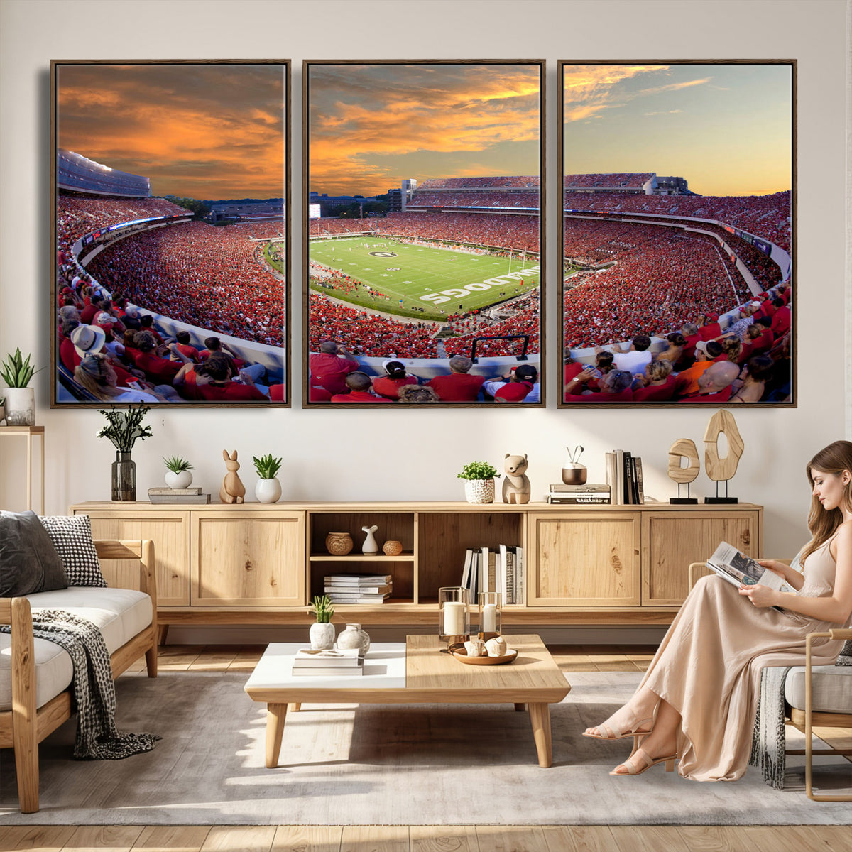 73680988-MGV-CV-36X24 - Dooley Stadium Wall Art, Sports Arena Canvas Print, Dooley Field, Framed and Ready to Hang