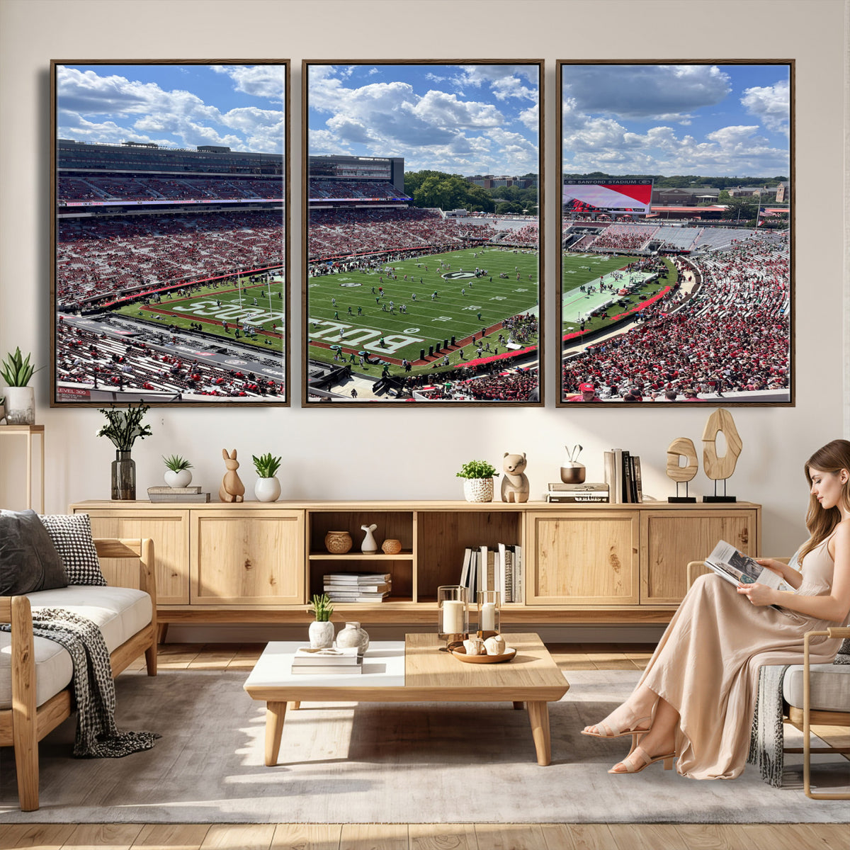 10665453-MGV-CV-36X24 - Georgia Bulldogs Stadium Wall Art Canvas Print, Sanford, Framed and Ready to Hang