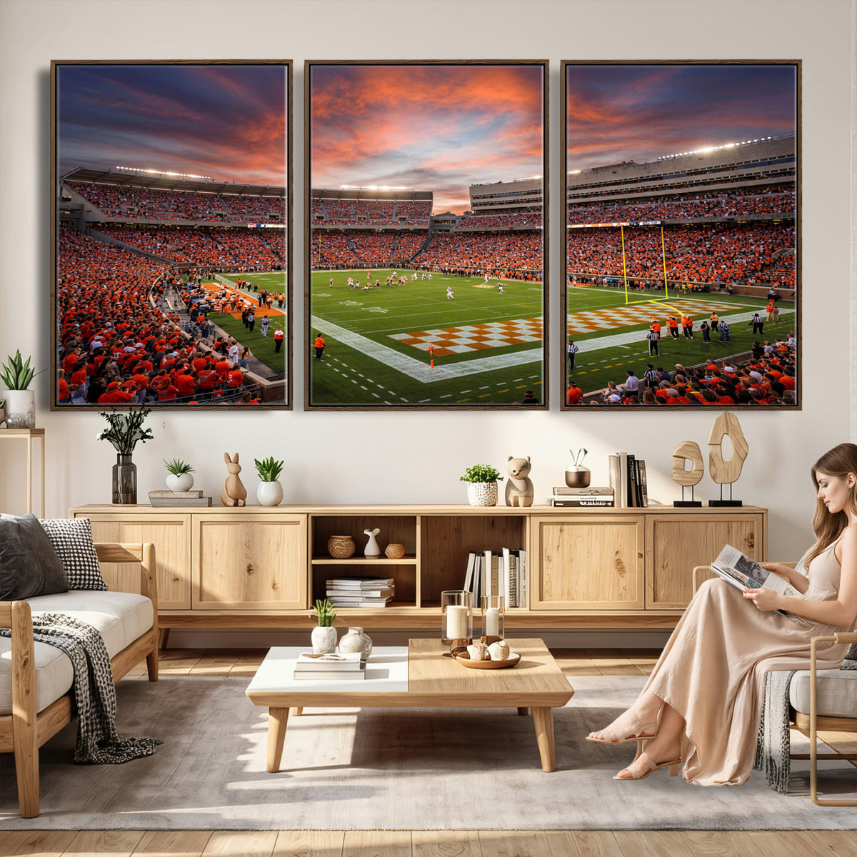 67648335-MGV-CV-36X24 - Stadium Wall Art Canvas Print