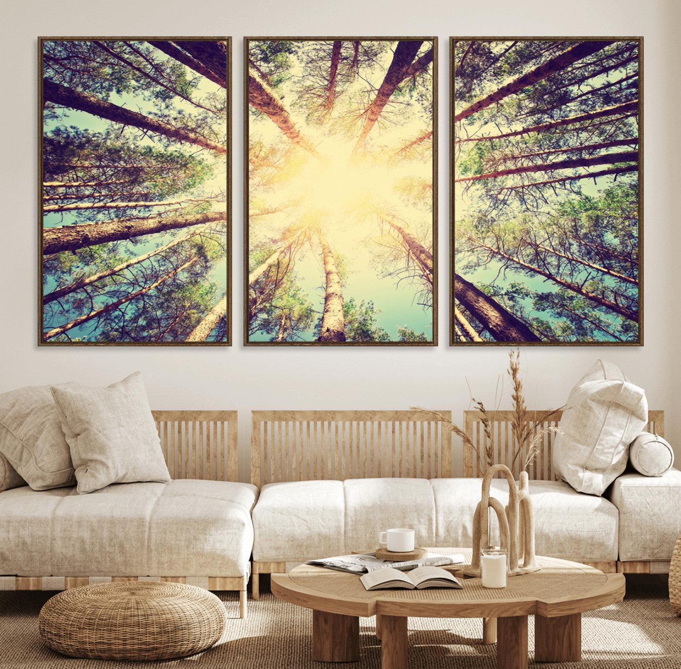 89611-MGV-FC-60X30-3P_Walnut-Tree and Sunshine Canvas Print