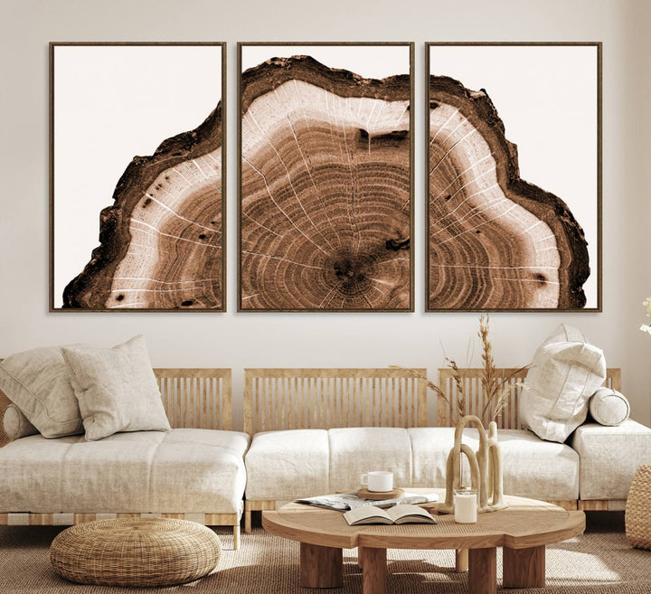 Close-up of the Rustic Wood Rings Wall Art featuring detailed tree rings and natural texture on a plain white background.