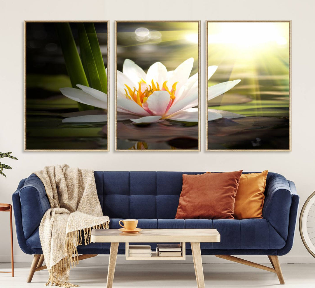 The Lotus Flower Wall Art Canvas Print showcases a white water lily with a yellow center floating gracefully in sunlight.