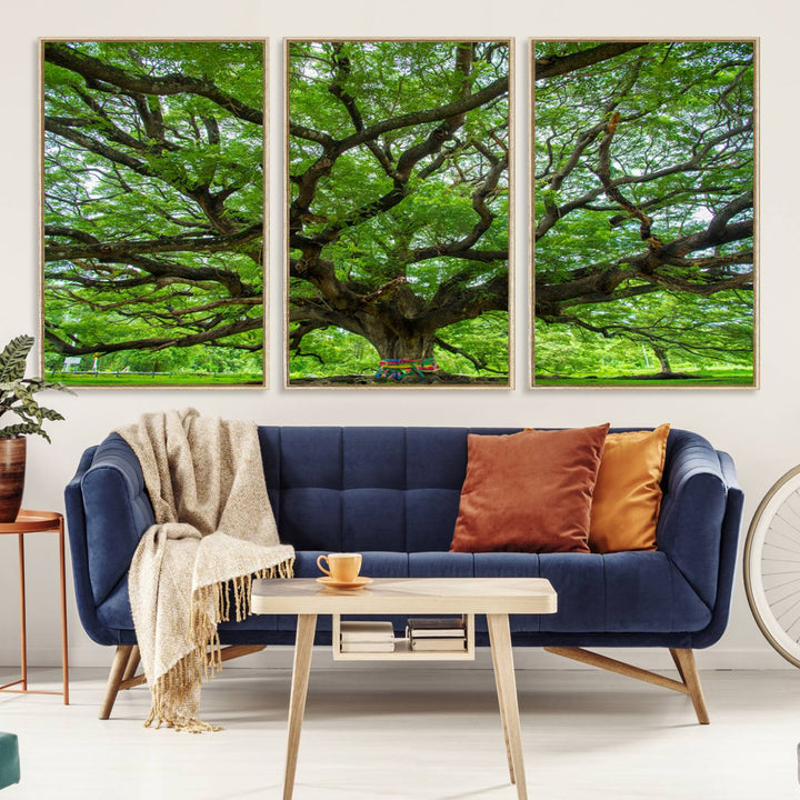 Framed Angel Oak Tree print featuring sprawling branches and ribbons against a clear sky backdrop, ideal for home or office decor.