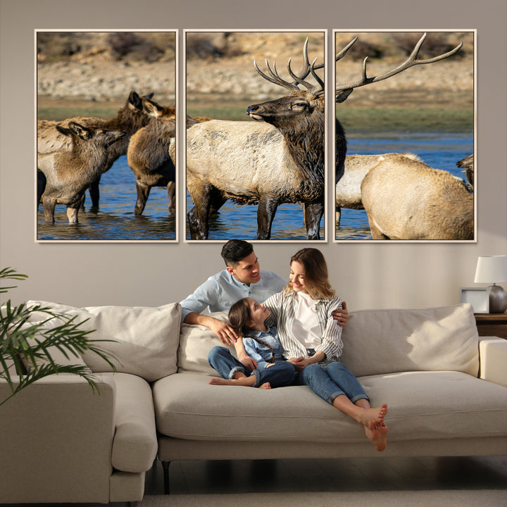 Group of elk standing in shallow water with dry rocky terrain in the background, showcasing wildlife in a natural setting for rustic decor.
