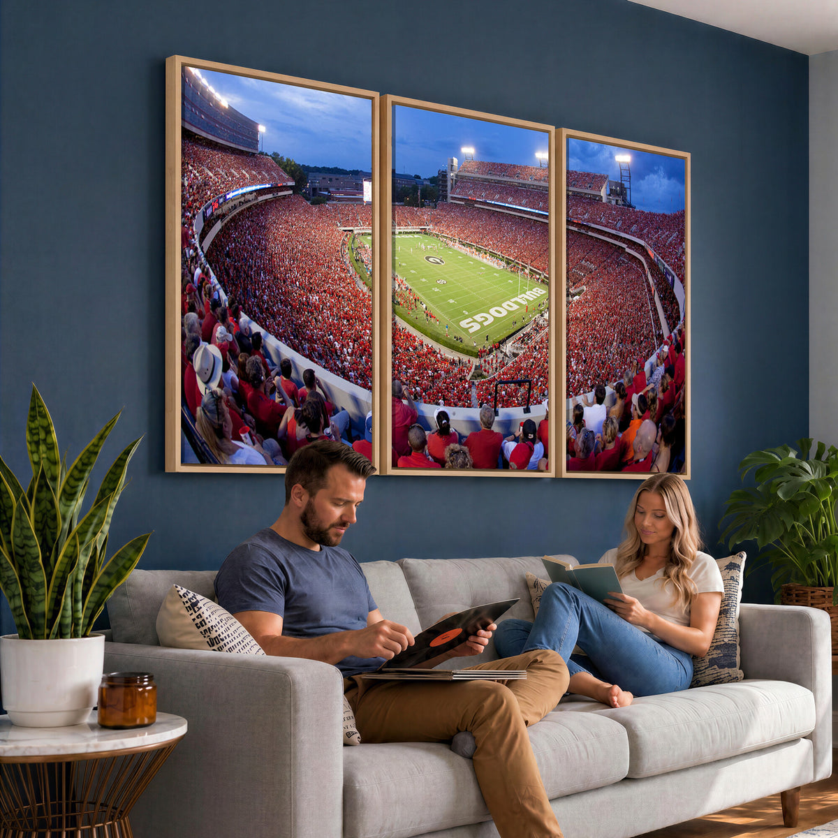 10244378-MGV-CV-36X24 - Dooley Stadium Wall Art, Sports Arena Canvas Print, Dooley Field, Home Bar Wall Decor