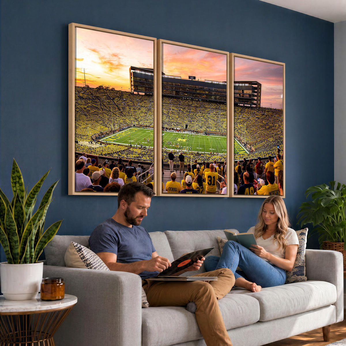 27265223-MGV-CV-36X24 - Stadium Wall Art Canvas Print