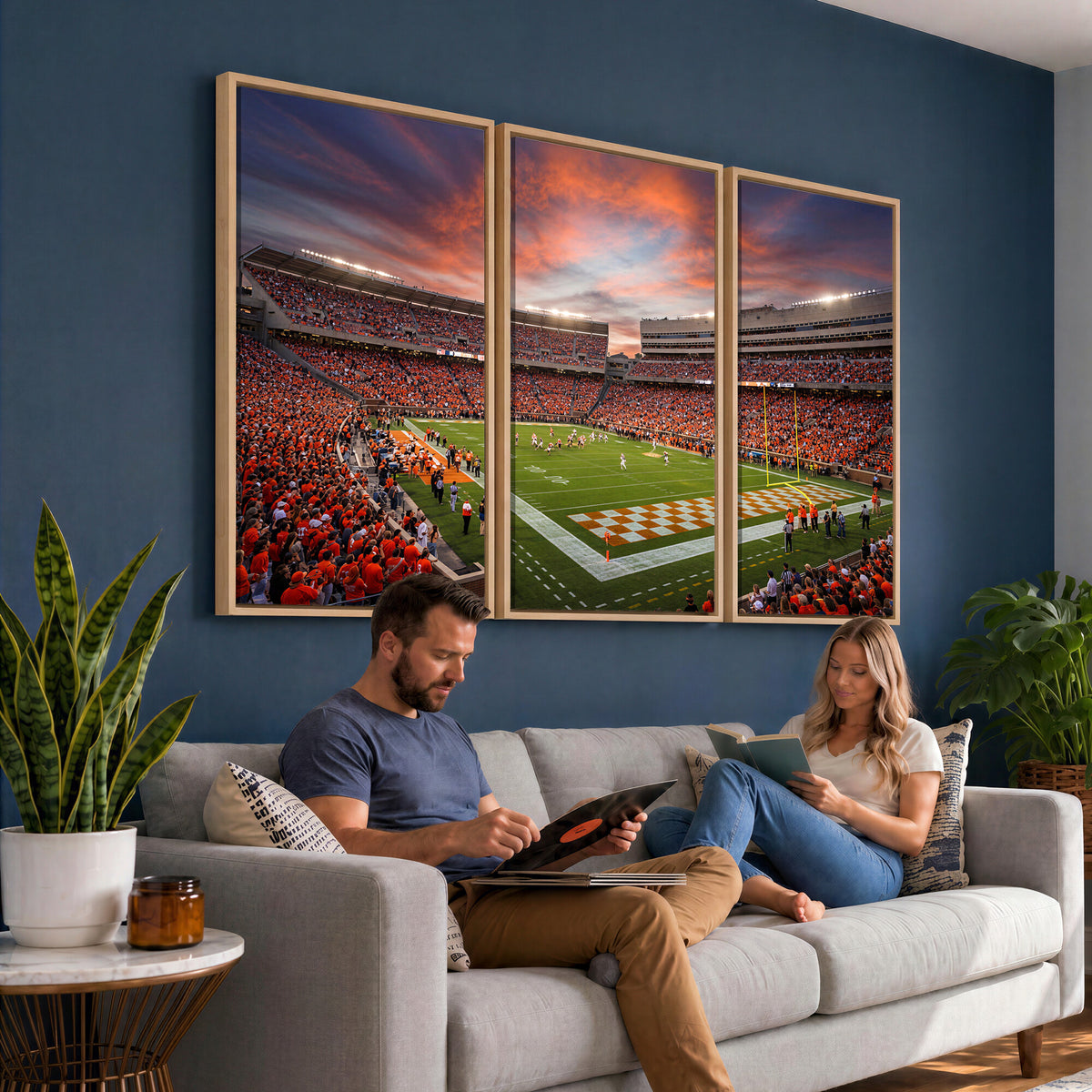 67648335-MGV-CV-36X24 - Stadium Wall Art Canvas Print
