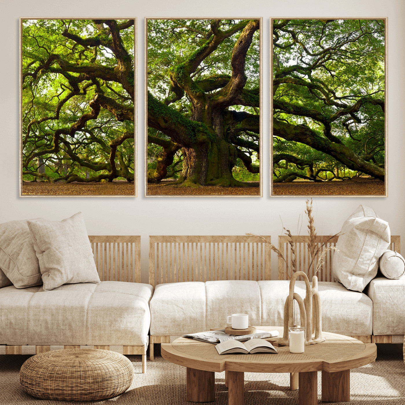 MGV-FC-60X30-3P - Angel Oak Tree Wall Art Canvas Print | Forest Tree Nature Photography Print on Canvas | Large Triptych Art for Living Room or Office Decor