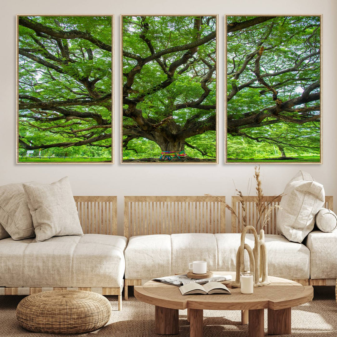 Framed Angel Oak Tree print featuring sprawling branches and ribbons against a clear sky backdrop, ideal for home or office decor.