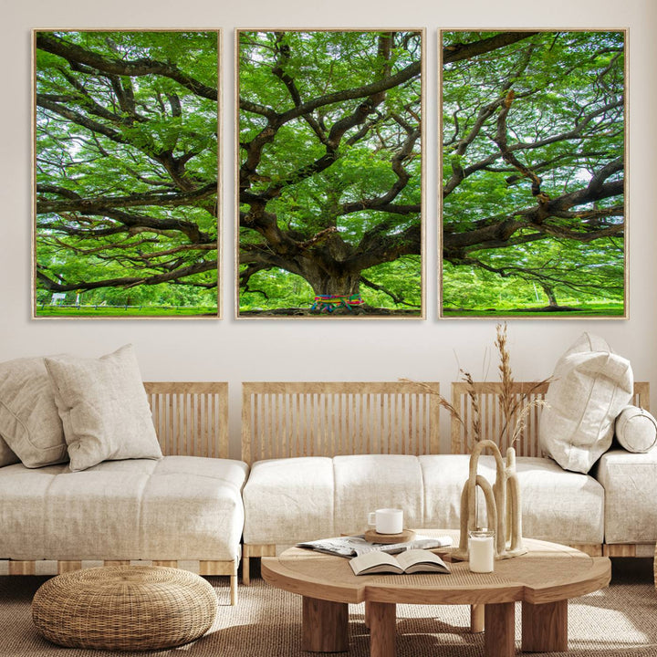 Framed Angel Oak Tree print featuring sprawling branches and ribbons against a clear sky backdrop, ideal for home or office decor.