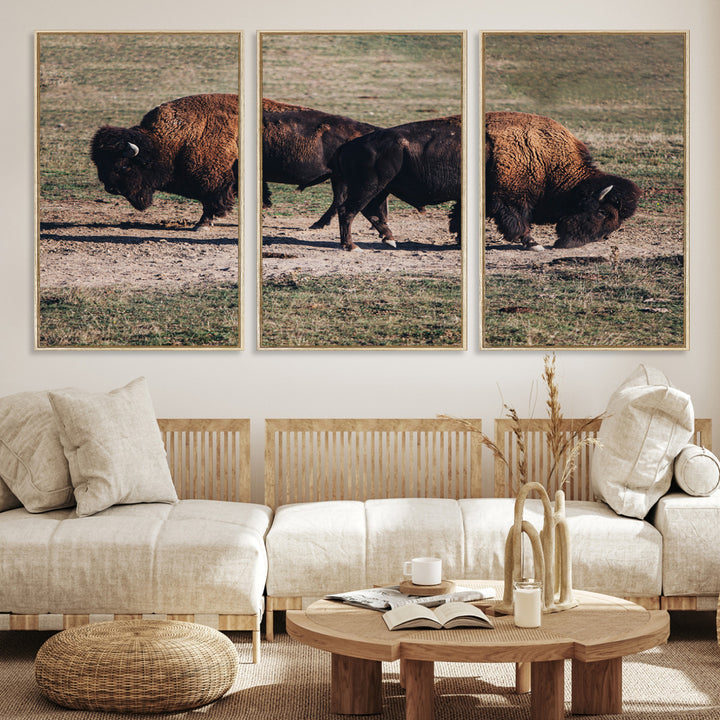 Bison Photography Wall Art Canvas Print, Framed Western Wildlife Art Picture Print, Modern Ranch Perfect Western Rustic Decor Artwork
