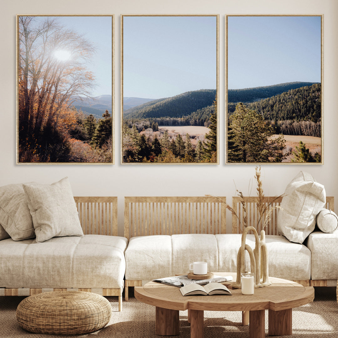 A scenic mountain valley with pine trees and autumn foliage under a clear sky, bathed in golden sunlight, creating a peaceful and rustic landscape.