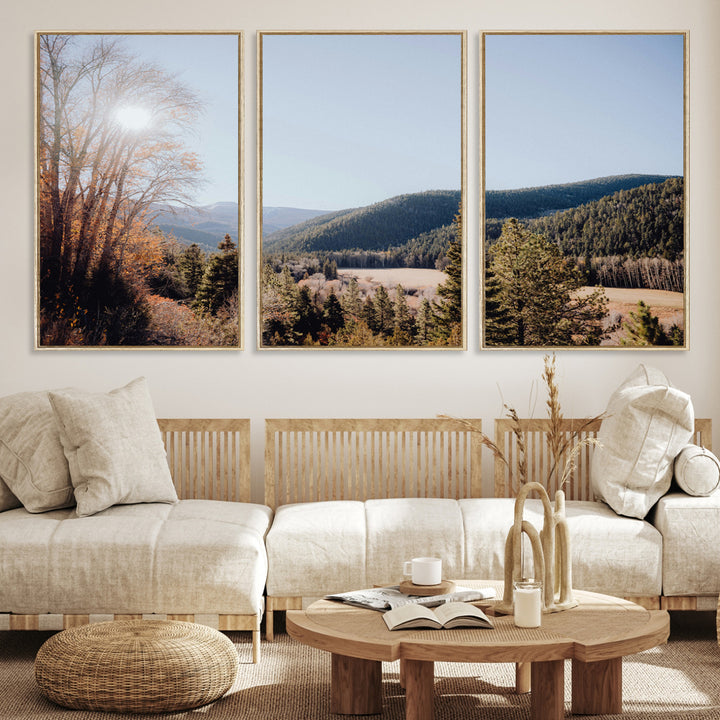 A scenic mountain valley with pine trees and autumn foliage under a clear sky, bathed in golden sunlight, creating a peaceful and rustic landscape.